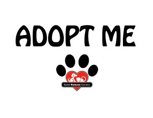 MangoBeans Adopt-Me-paw-logo2